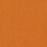 Color Accents Tile
Orange